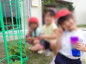rEHO5QIU3io2Sh51750493076_1750493134 (1)