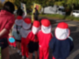 N377VNGl339icS21762474294_1762474361